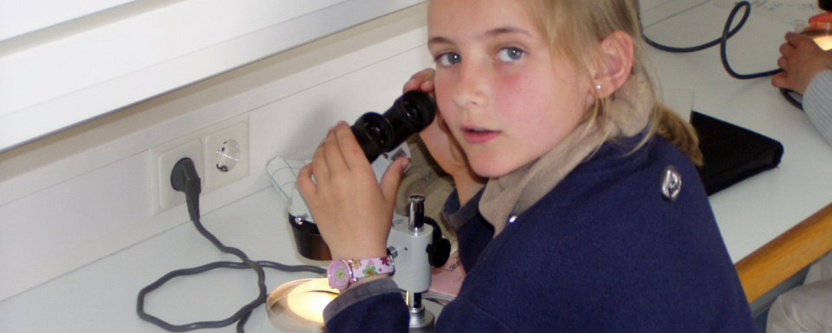 Klassenfahrten Tönning