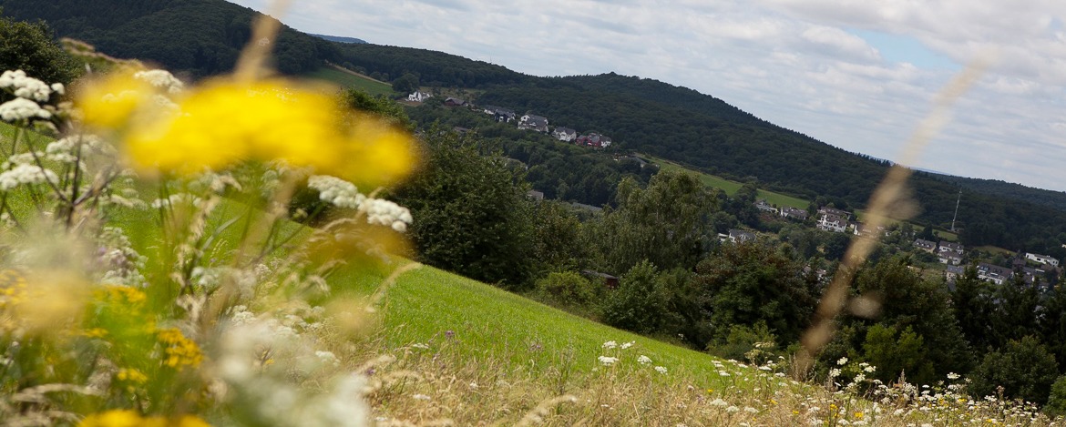 Landschaft um Bad Münstereifel