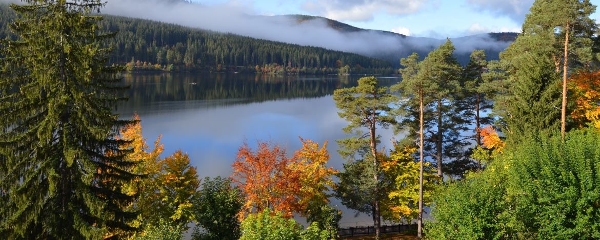 Individualreisen Schluchsee-Wolfsgrund