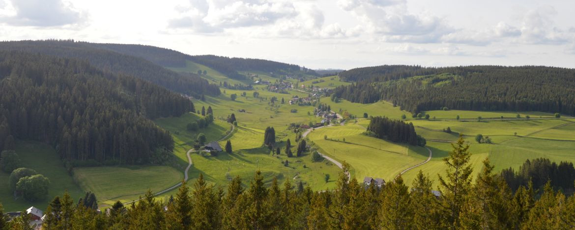 Individualreisen Schluchsee-Wolfsgrund