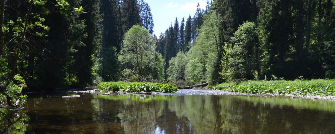Rötenbachschlucht