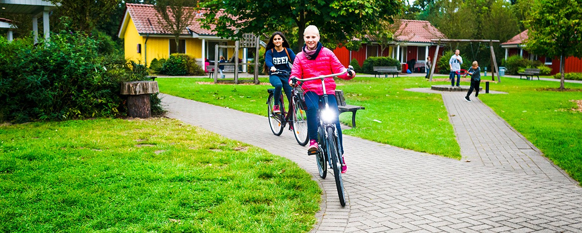 Freizeit-Tipps Alfsee