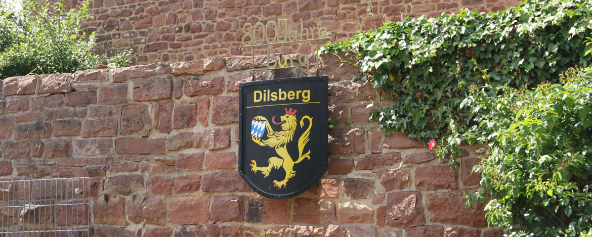 Freizeit-Tipps Neckargemünd-Dilsberg