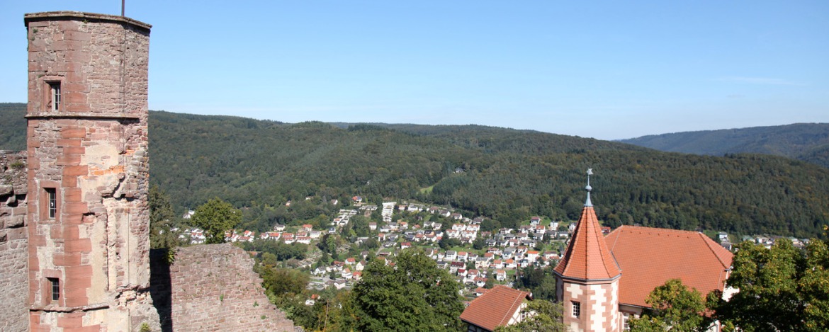 Reiseangebote Neckargemünd-Dilsberg