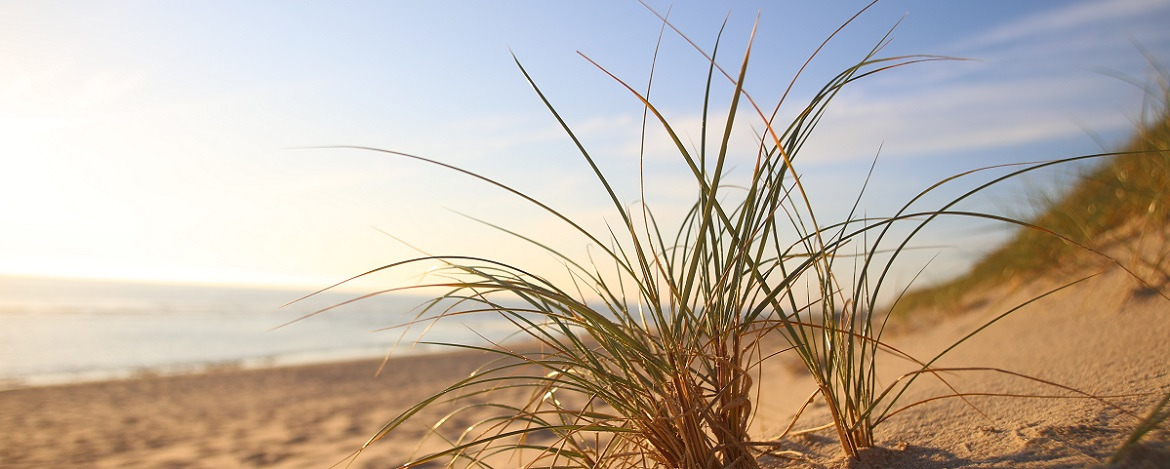 Strand der Insel Sylt