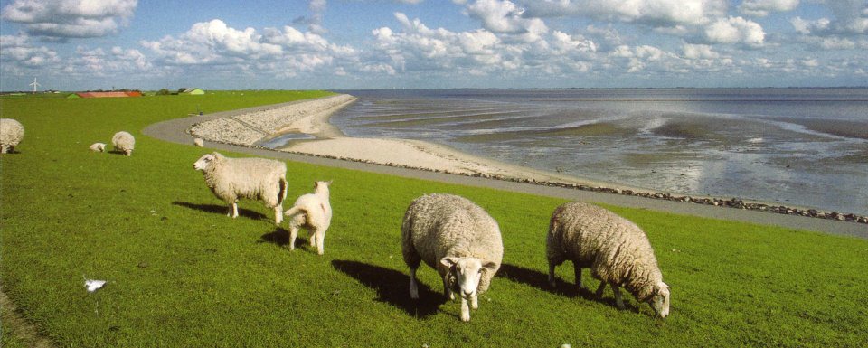 Freizeit-Tipps Husum