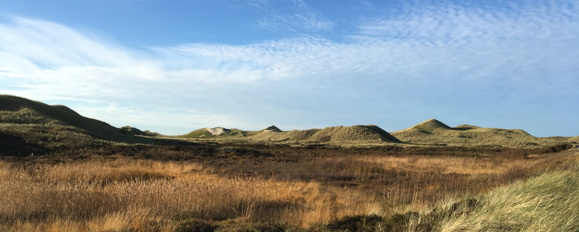 Landschaft auf der Insel Amrum