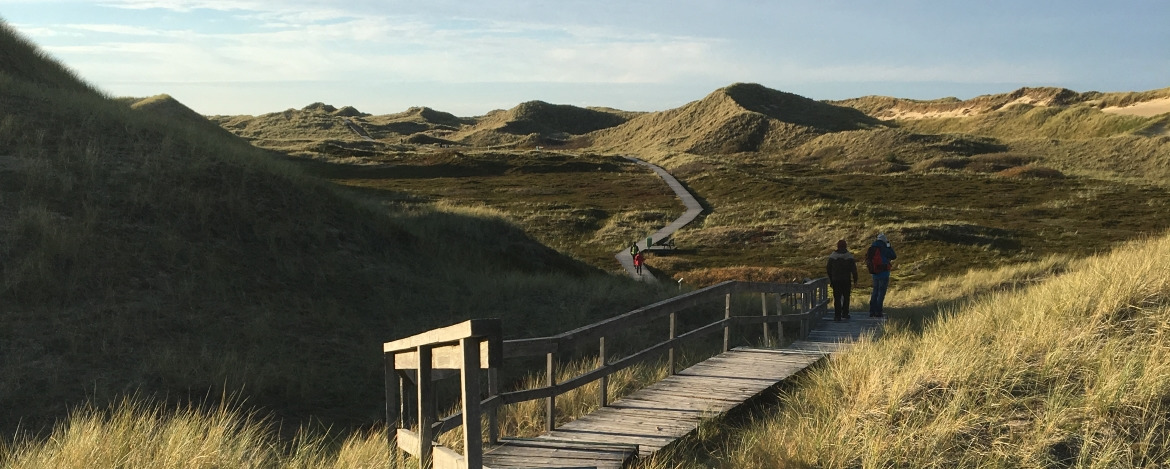 Landschaft der Insel Amrum