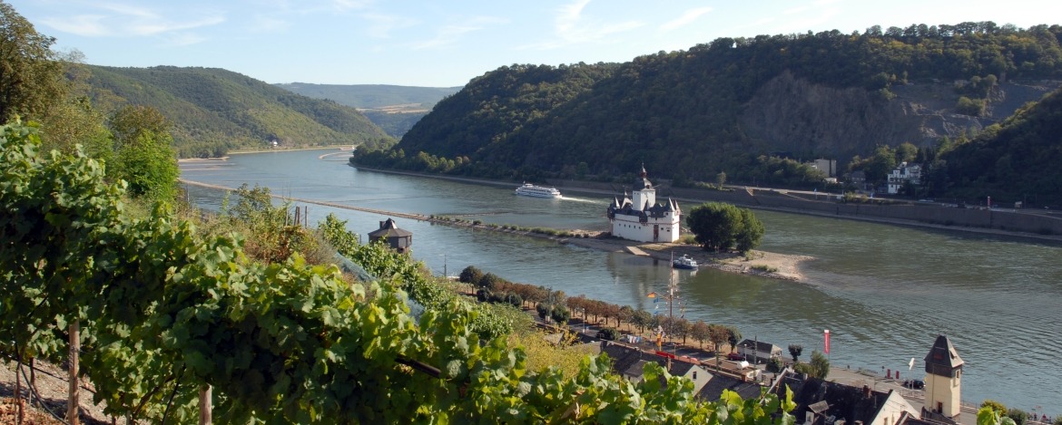 Blick vom Rheinsteig auf die Zollburg