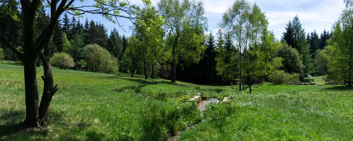 Freizeittipps in Jöhstadt/OT Grumbach, Sachsen DJH Jugendherberge