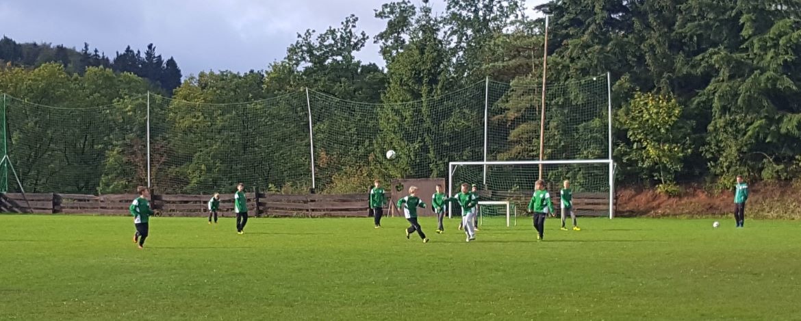 Fußballplatz mit Flutlicht nach DFB-Norm