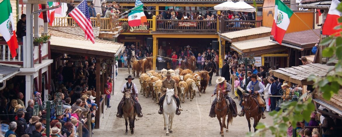 Rindertrieb in Pullman City