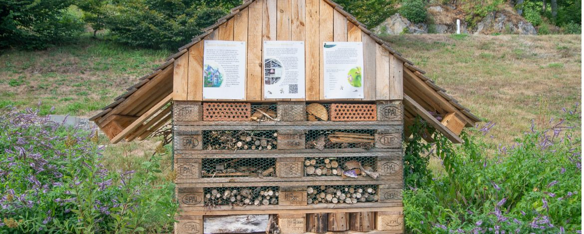 Jugendherberge Hinterzarten/Titisee Veltishof Insektenhotel