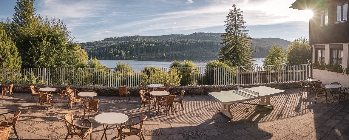 Meet in Schluchsee-Wolfsgrund