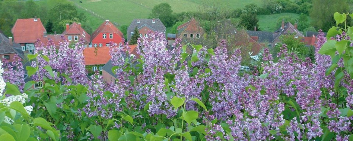 Familienurlaub Bad Segeberg