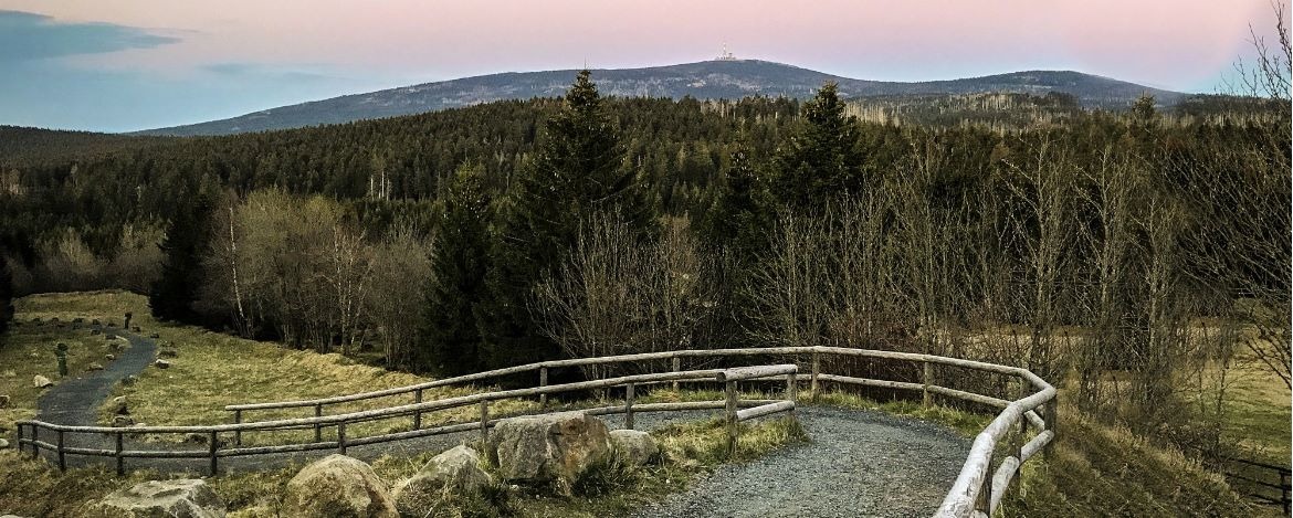 Mit der Brockenbahn hinauf zum Brocken