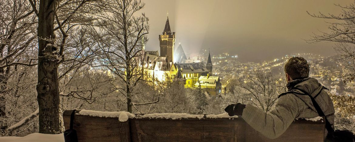 mit der Harzer Schmalspurbahn durch die Winterlandschaft fahren