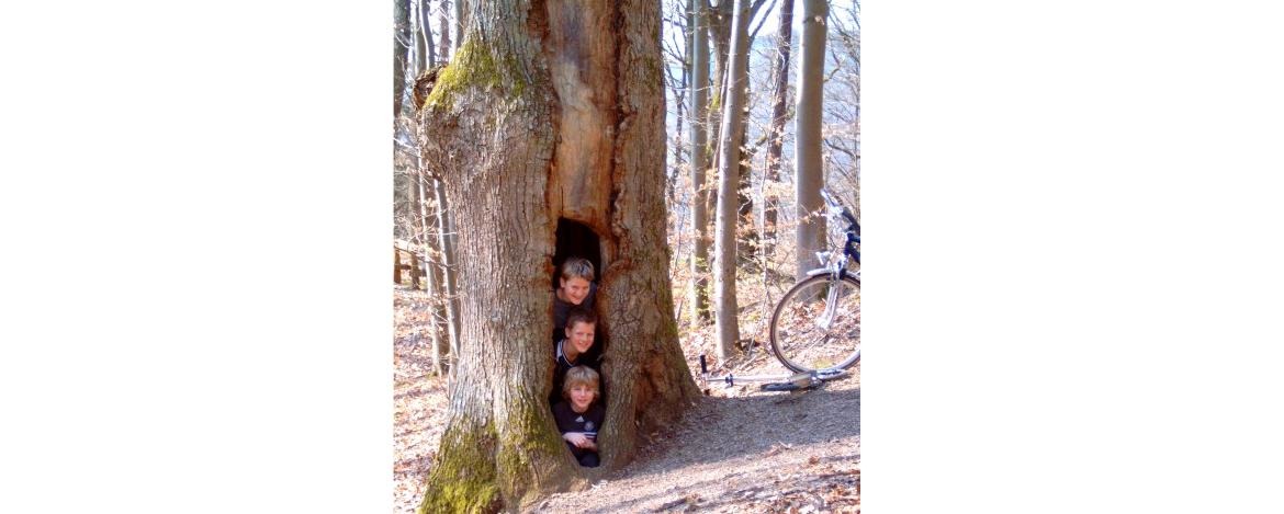 Kinder in Baumhöhle