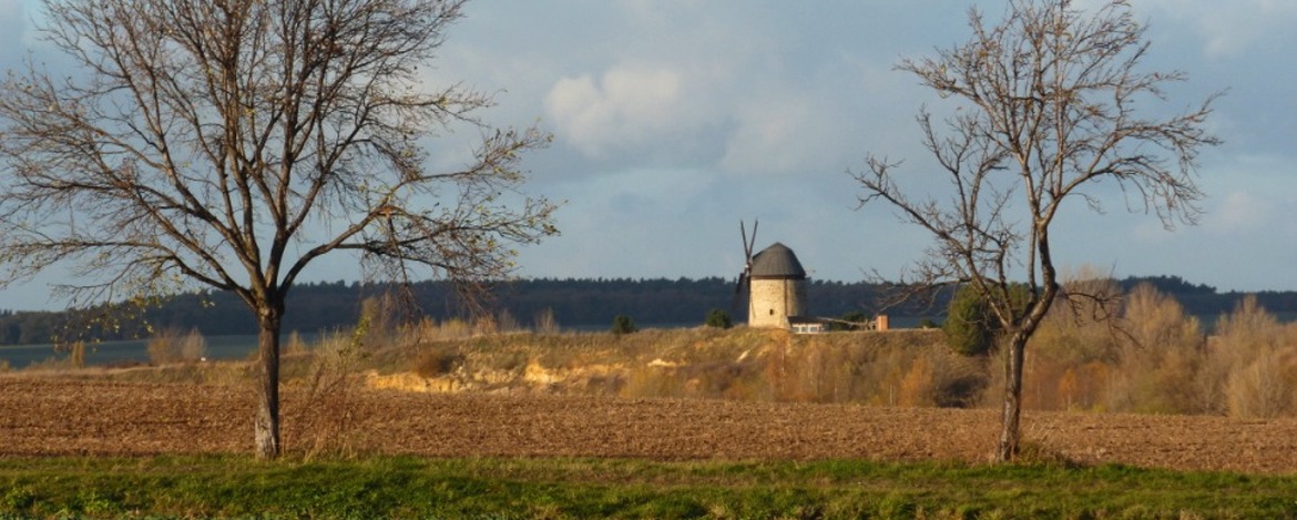 Holländer Windmühle in Warnstedt