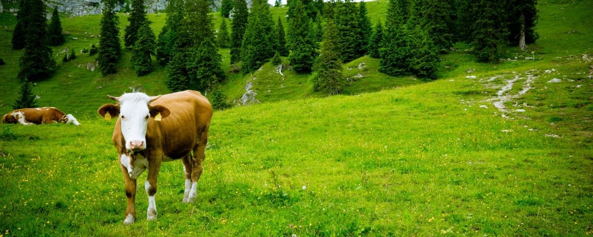 günstiger Urlaub in der Natur