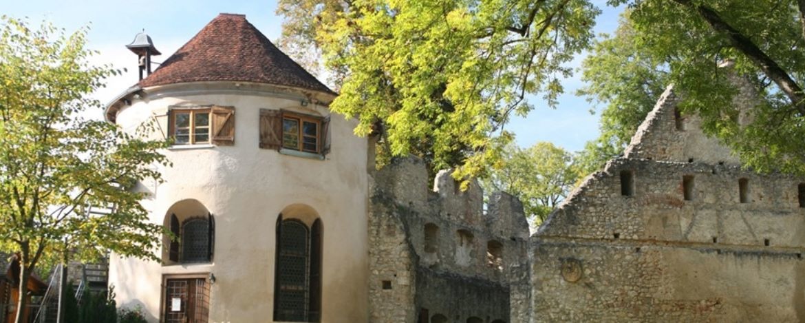 Vorderansicht der Ruine Hornstein