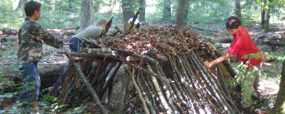 Hütte aus Naturmaterialien bauen