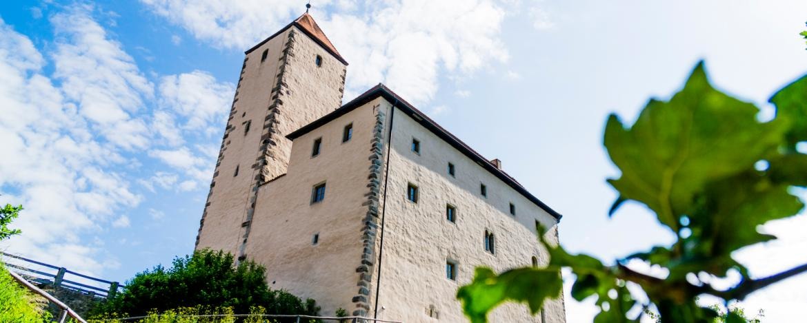 Eine altehrwürdige Burganlage und das angrenzende Feldschlössl in Trausnitz
