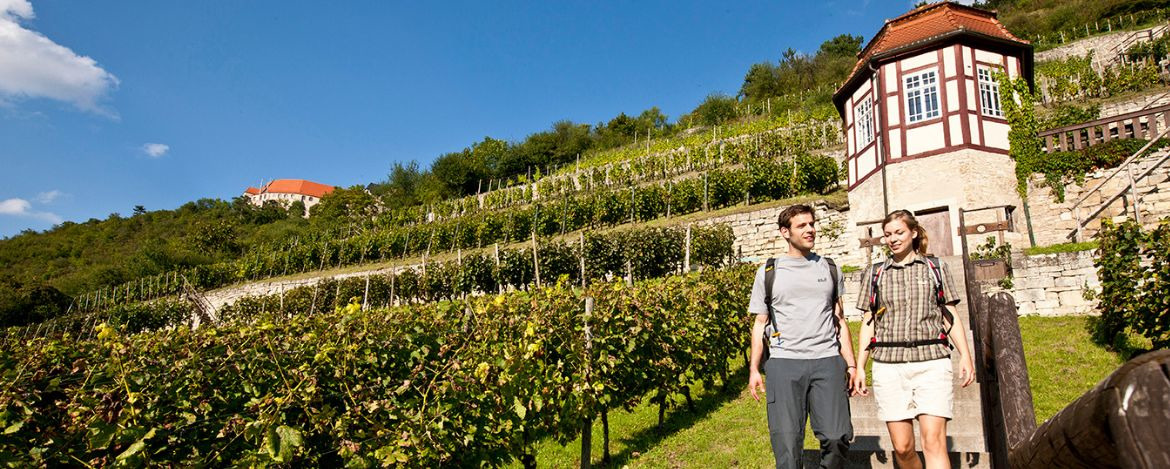 Weinberge an Saale und Unstrut