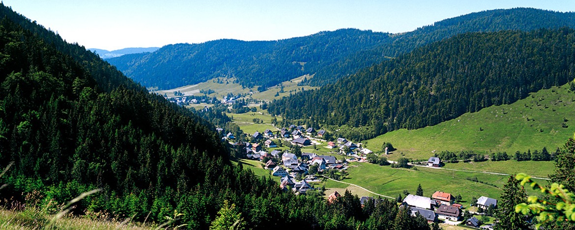Menzenschwand im Tal