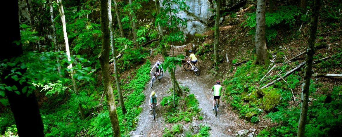 Mountainbike-Abfahrten verschiedener Schwierigkeitsgrade am Ochsenkopf