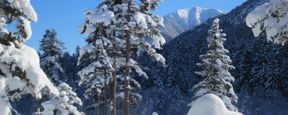 Wunderschöne Schneelandschaft in Berchtesgaden
