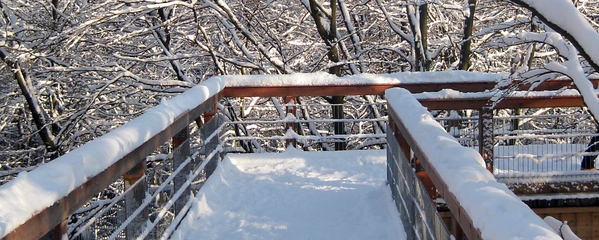 Baumwipfel-Pfad in „Panarbora“ im Winter