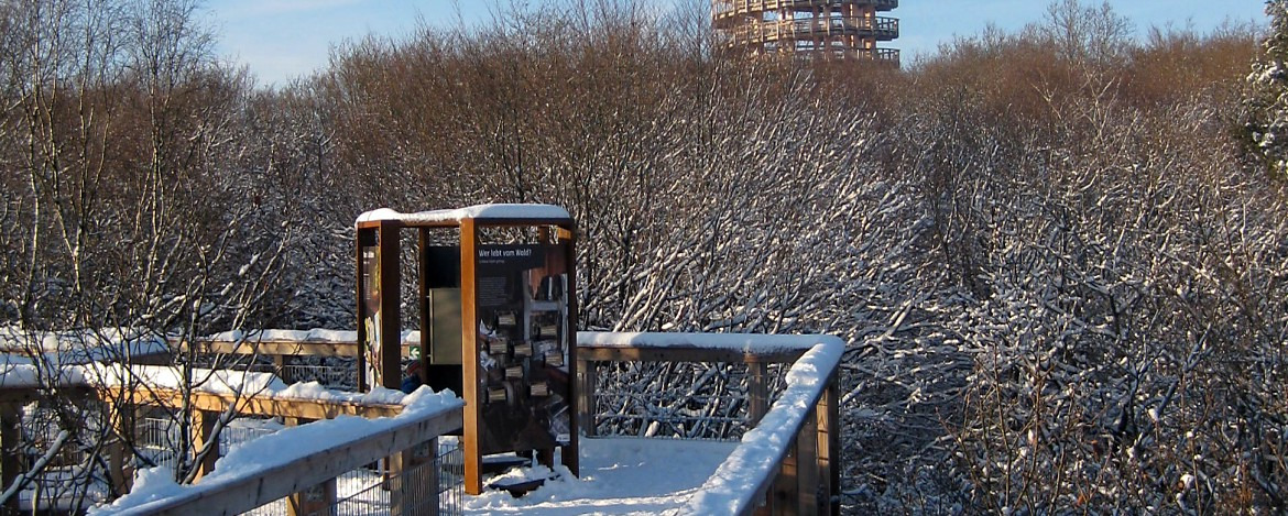 Erlebnisstation auf dem Baumwipfel-Pfad in „Panarbora“ im Winter