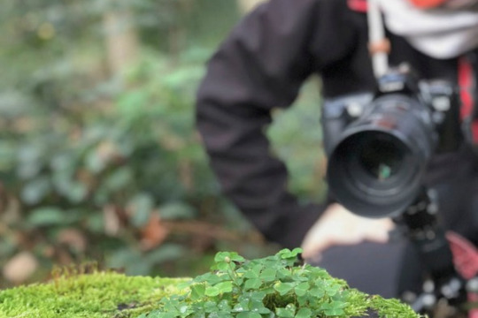 Jugendherberge Bayreuth - DIY - Wald - Analogfotografie