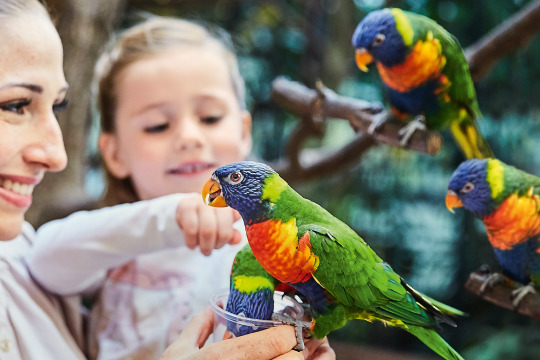 Jugendherberge Bad Fallingbostel - Der bunten Vogelwelt auf der Spur