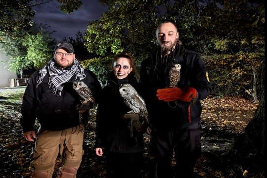 Jugendherberge Bad Kreuznach - Halloweenprogramm