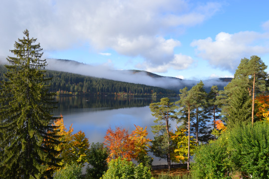 Jugendherberge Schluchsee-Wolfsgrund - (R)Auszeit